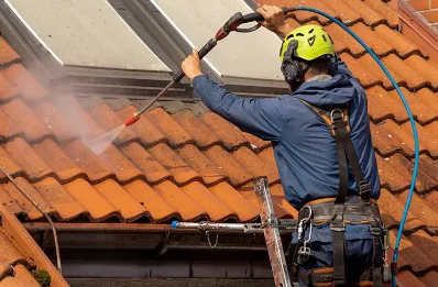 Démoussage et hydrofuge de toiture à Brageac